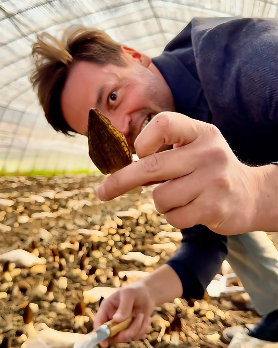 Founder holding a fresh cultivated morel in a growing house